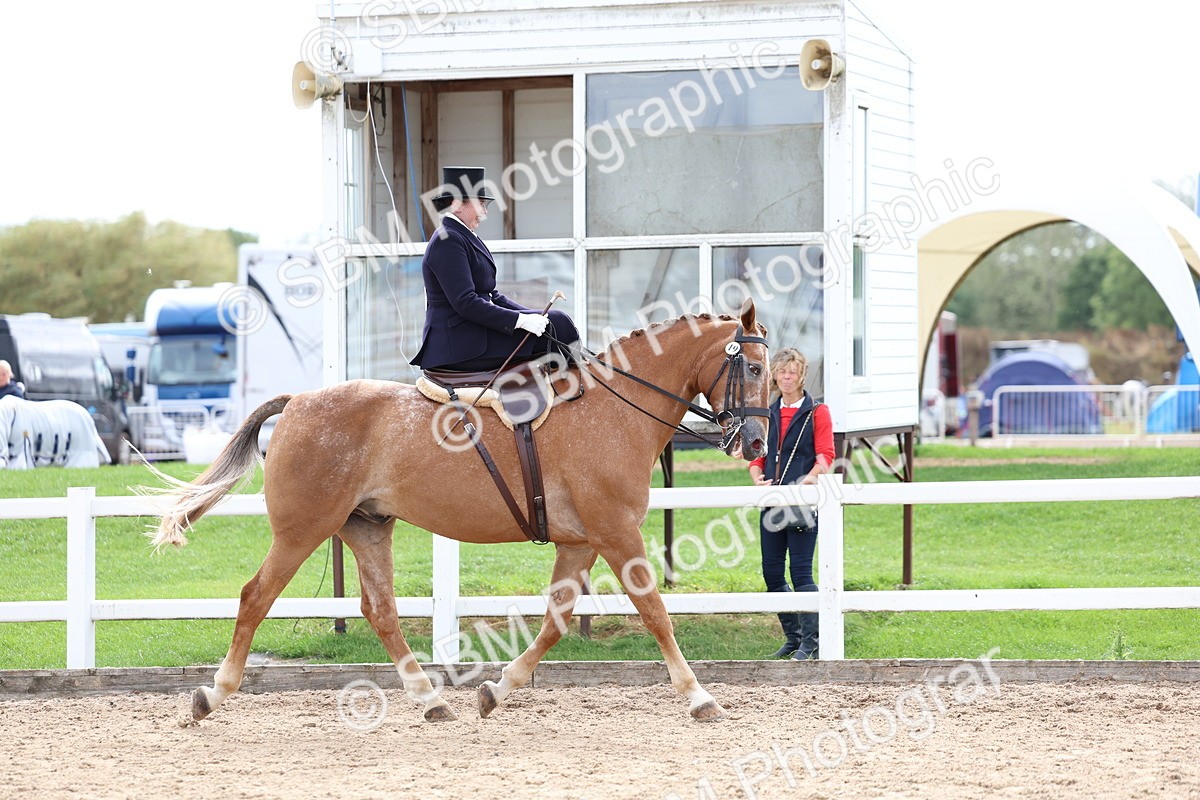 SBM_03389 - Class 24 - SSA Concours d'elegance (any age)