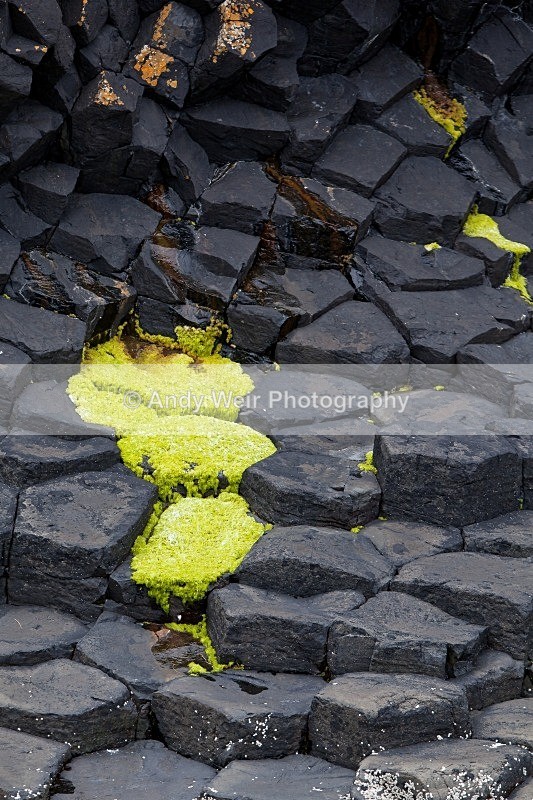 20120531-_MG_9951 - Scotland