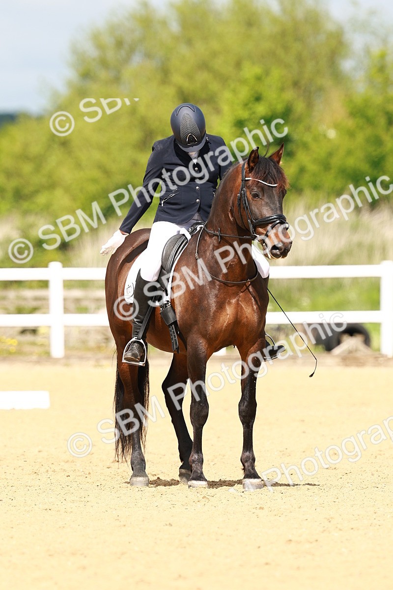 SBM_001017 - Class 7 - N4