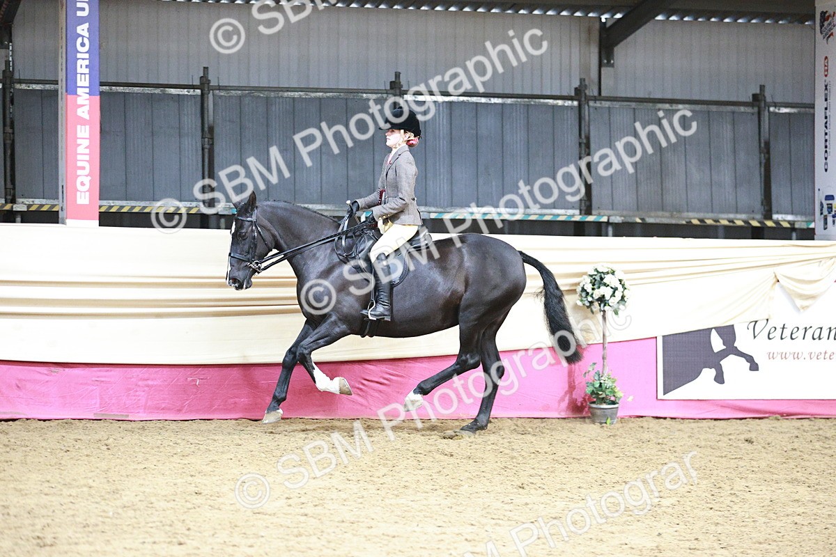 SBM_08672 - Regional Ridden Champ