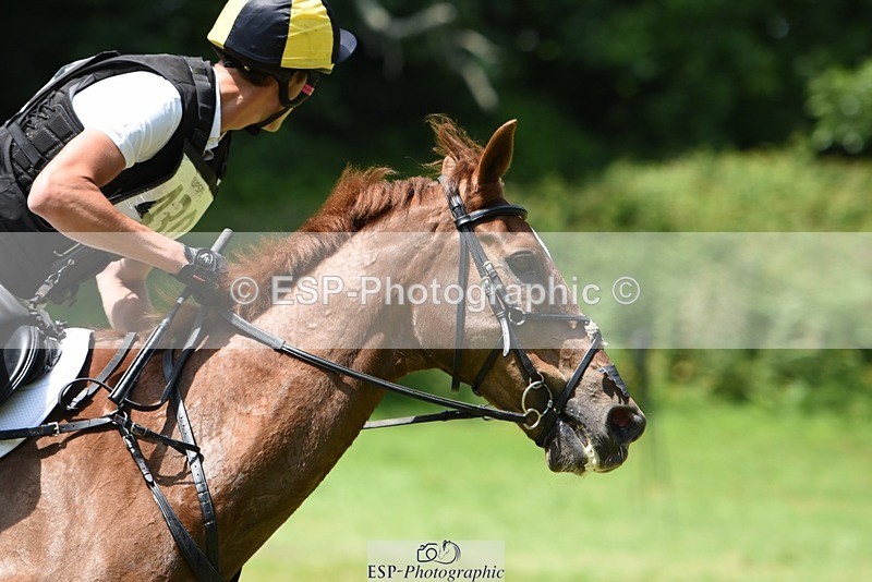 230528-121350-16317 - 430-THE_PARTNER-Will_Rawlin-XC