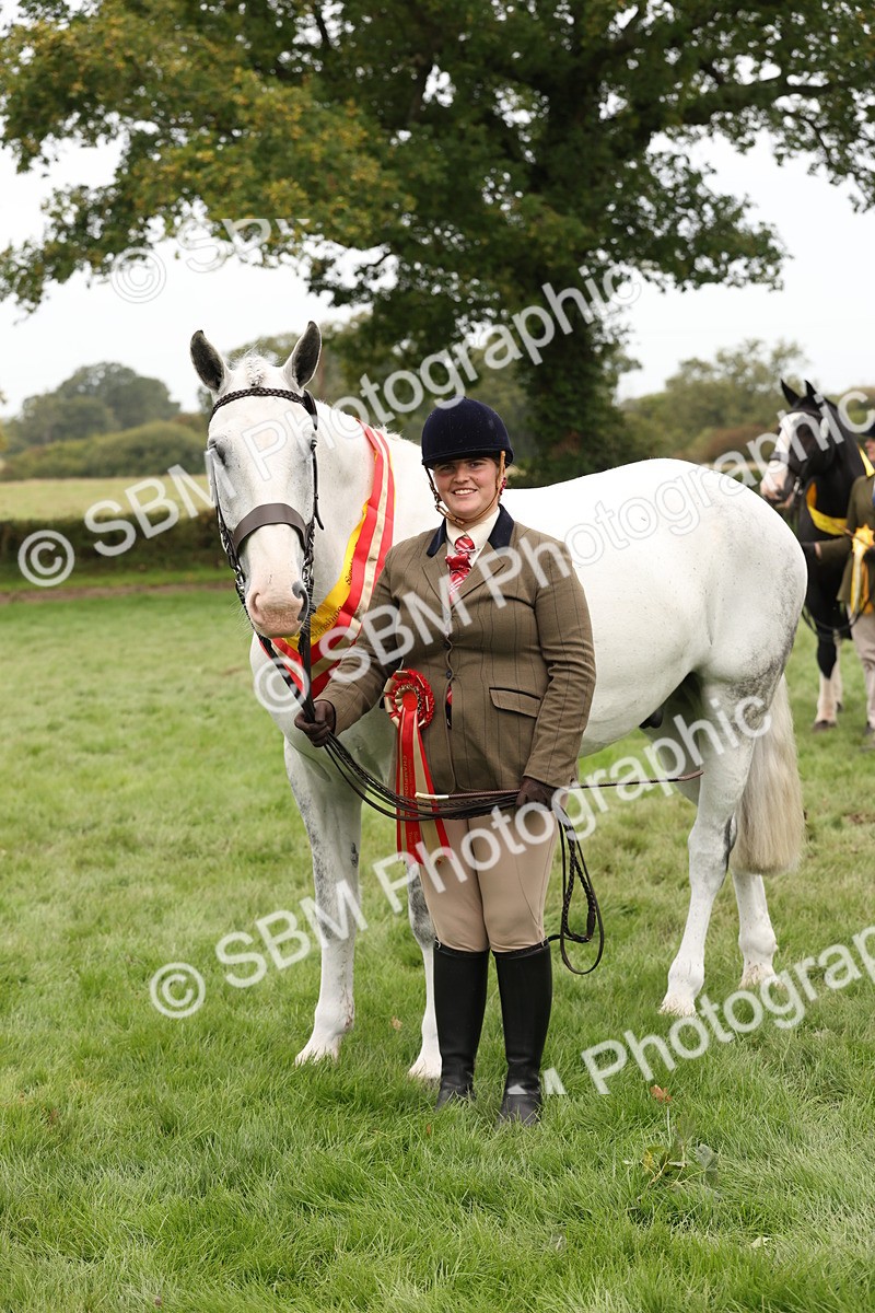 SBM_60868 - In Hand Horse Supreme Championship
