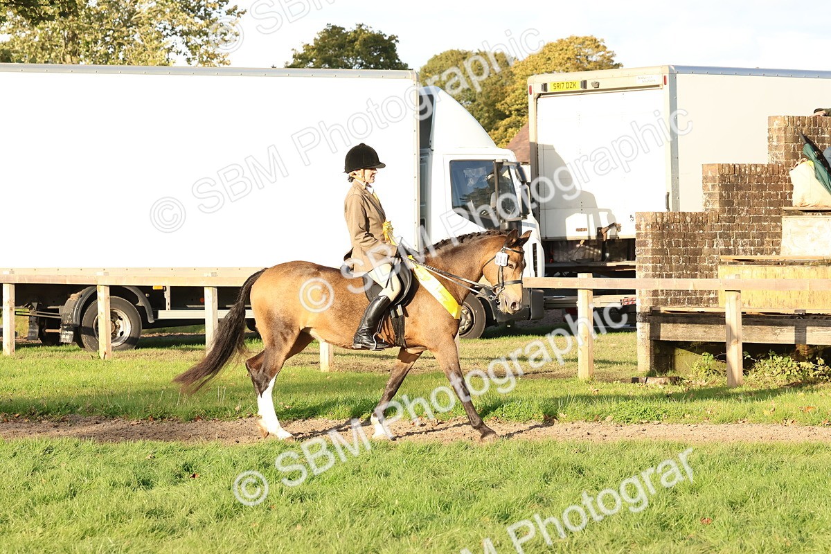 SBM_53112 - Veteran Supreme Championship