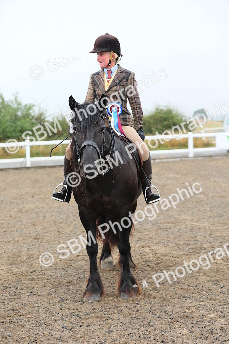 SBM_20375 - Class 803 - Ridden Combination 65+