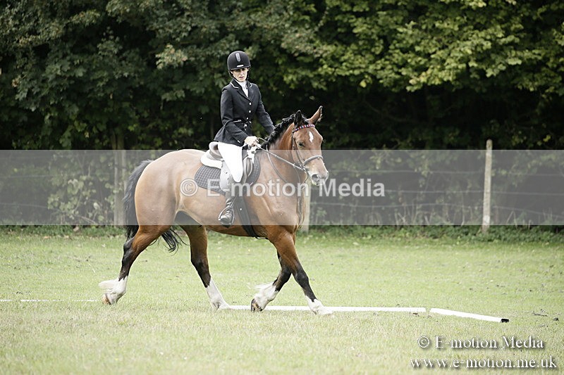 BVR080918 35 - BVRC Novice Dressage & CR 08/09/18