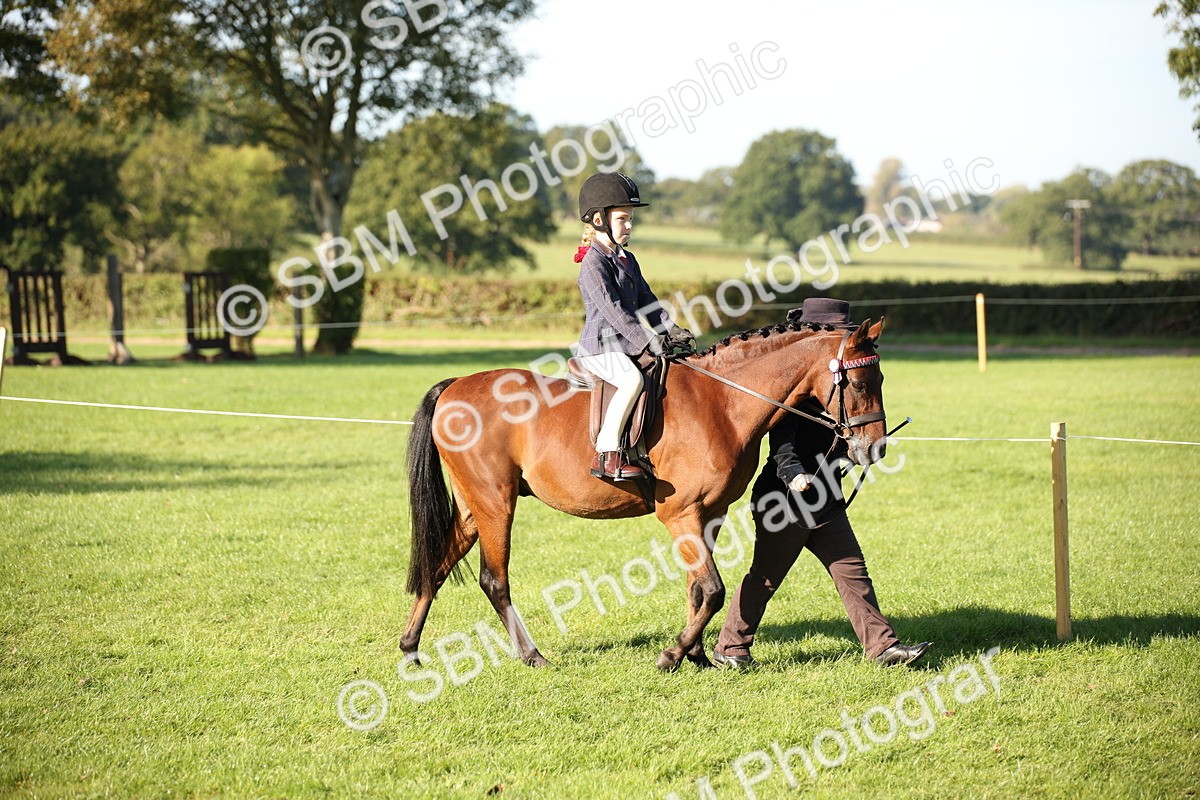 SBM_35646 - S9 - Lead Rein Equitation