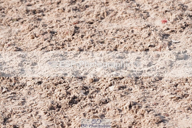 250503-092844-00096 - Cls 16 Clear Round 40cm and 50cm