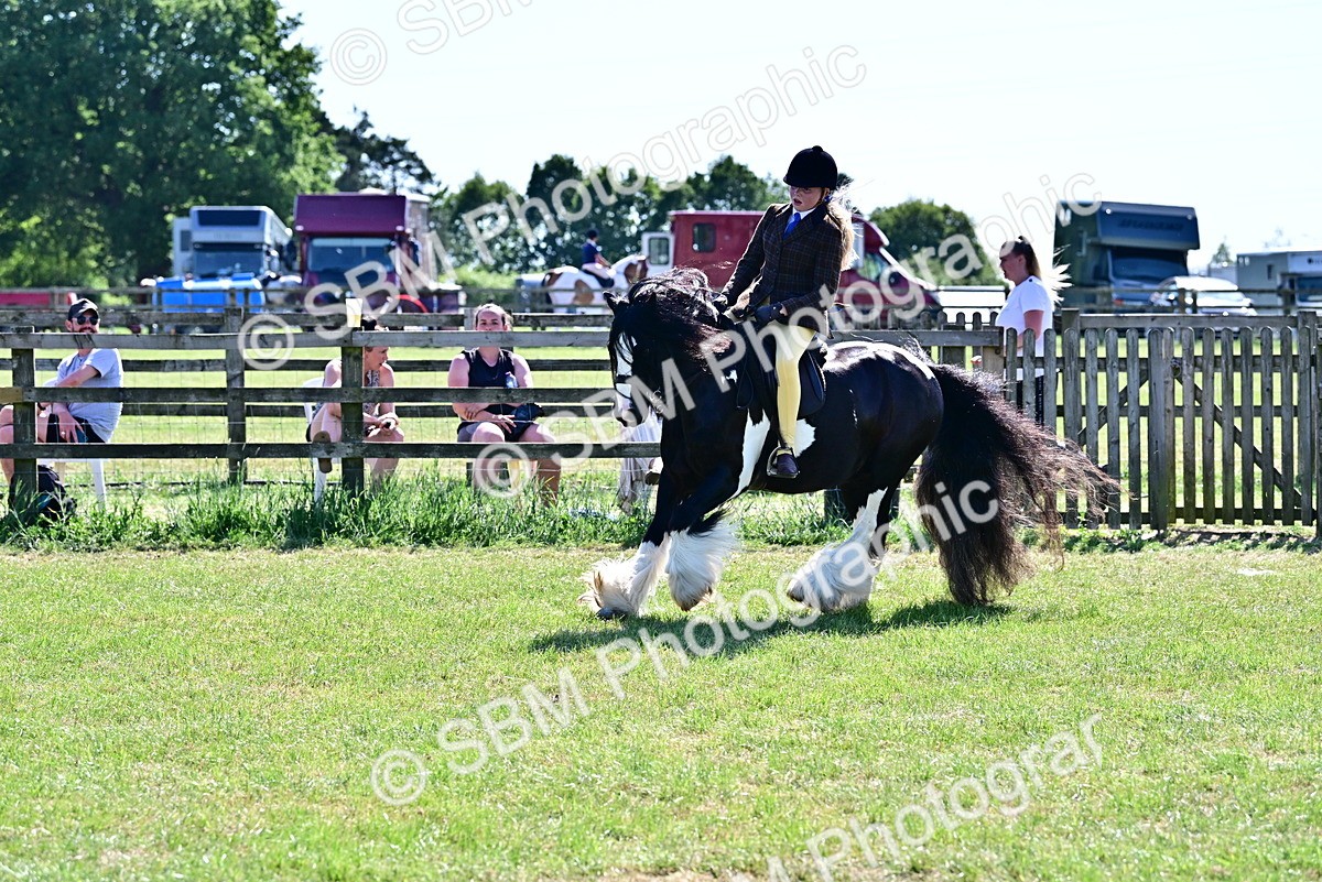 SBM_19409 - Class 101-102 - BSPS LIHS Performance Coloured Horse/Pony