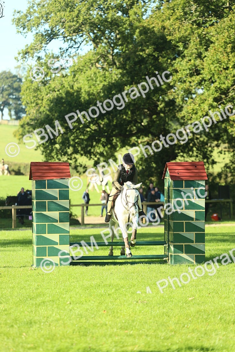 SBM_36289 - S29 - Novice & Newcomers Working Hunter Pony