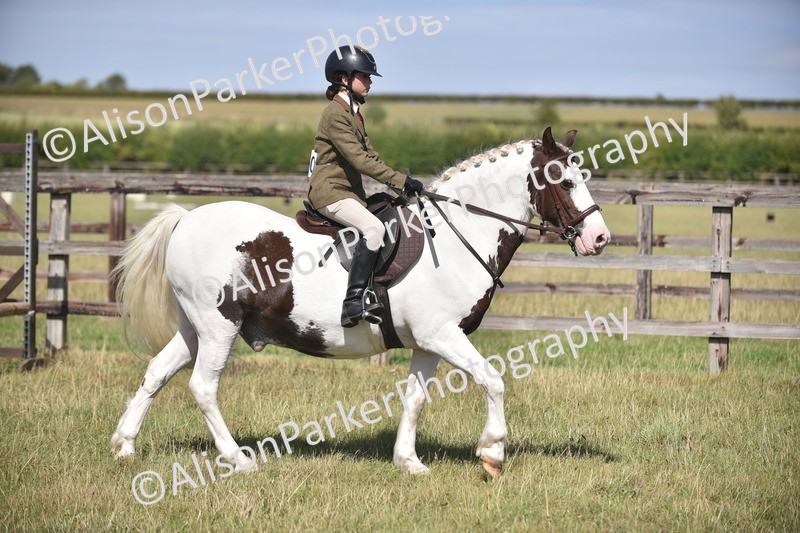 20260906-2651 - Class 12 - 14.2hh and Under