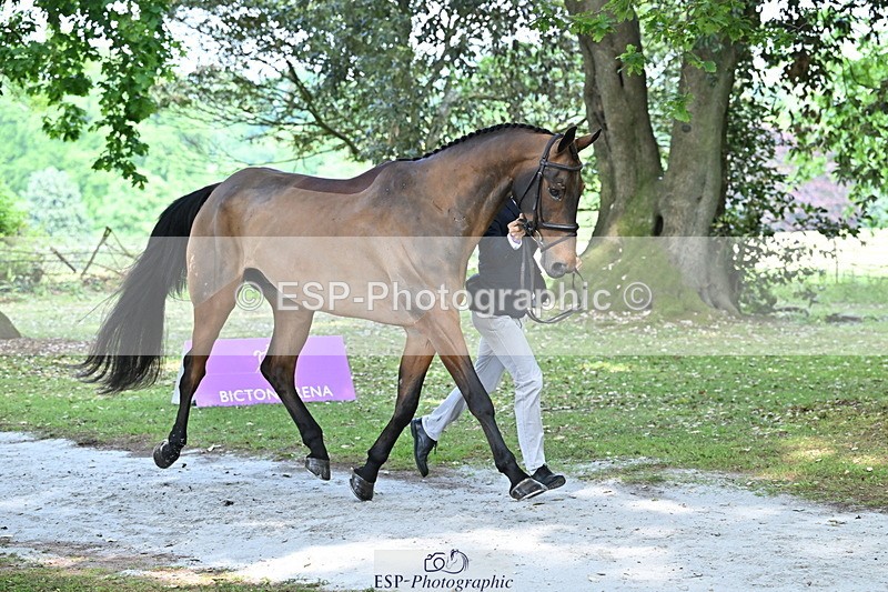 250521A-150852-00292 - B-301-Rafael.Losano-COOLEY.AND.CO