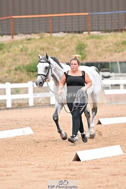 250716-162102-02587 - Trot Up 3.30 to 4.30