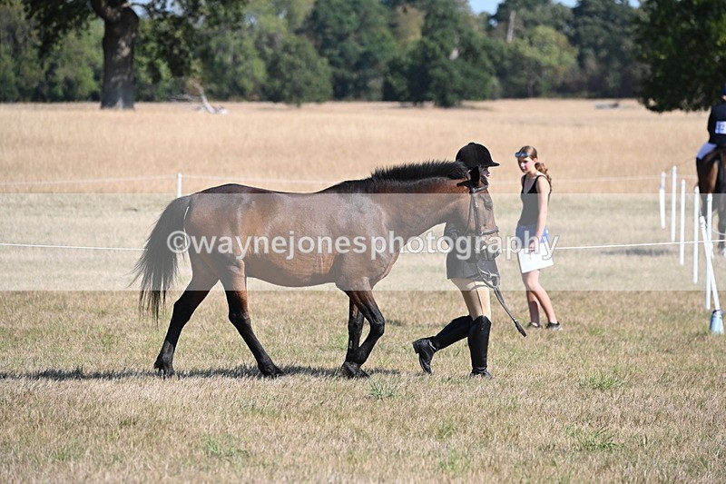 WJ6_7418 - Class 34 Judges Choice