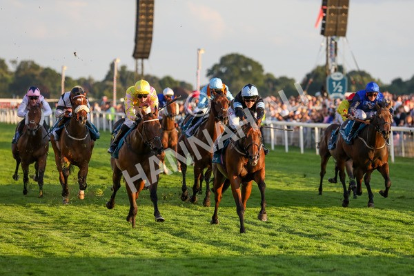 260724-Race 6-Duran-4192 - Race 6 8.20pm Sky Bet Go-Racing-In-Yorkshire Summer Festival Handicap