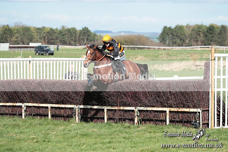 PtP 230324 552 - Tedworth Hunt PtP Larkhill Raccourse 23rd March 2024