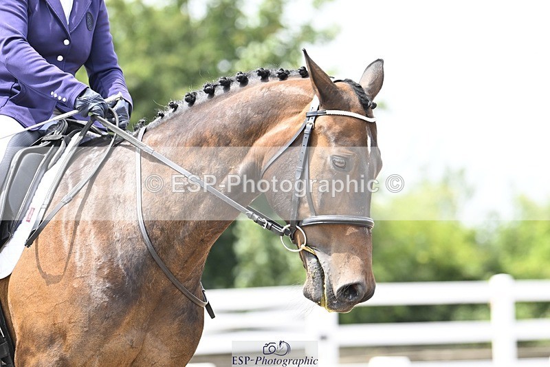 250621-140707-10541 - Cls 29 - Elementary 5, Start to 14.10