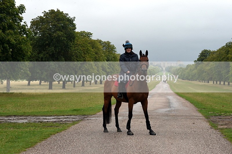 TT3_8331 - Time at Crossing 10:16 to 11:38