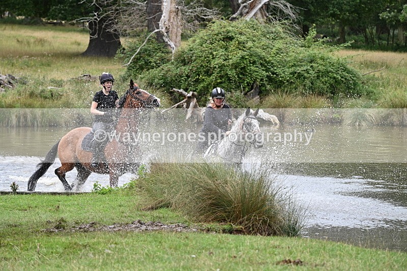 WJ7_2782 - Time at Water 11:37 to 12:13