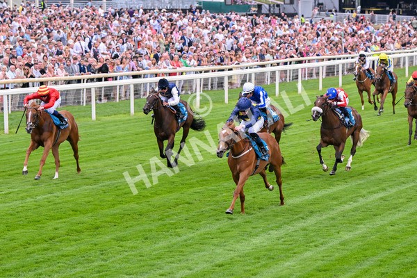 260725-Race 1-Golden Palace-7087 - Race 1 1.25pm £100K ITV7 Jackpot Today EBF Fillies' Novice Stakes