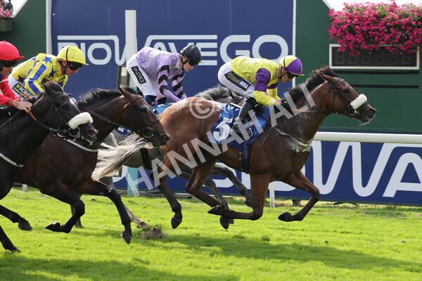 yr05092021r2-28 - Race 2 2.40pm John and Judith Marshall Memorial Stakes