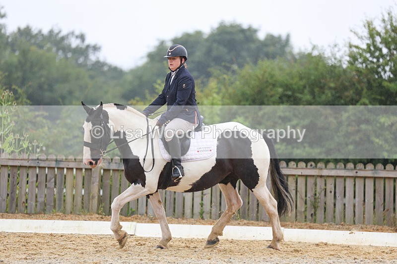 3E7A8327 - Class 2: Intro 3 2024 section B