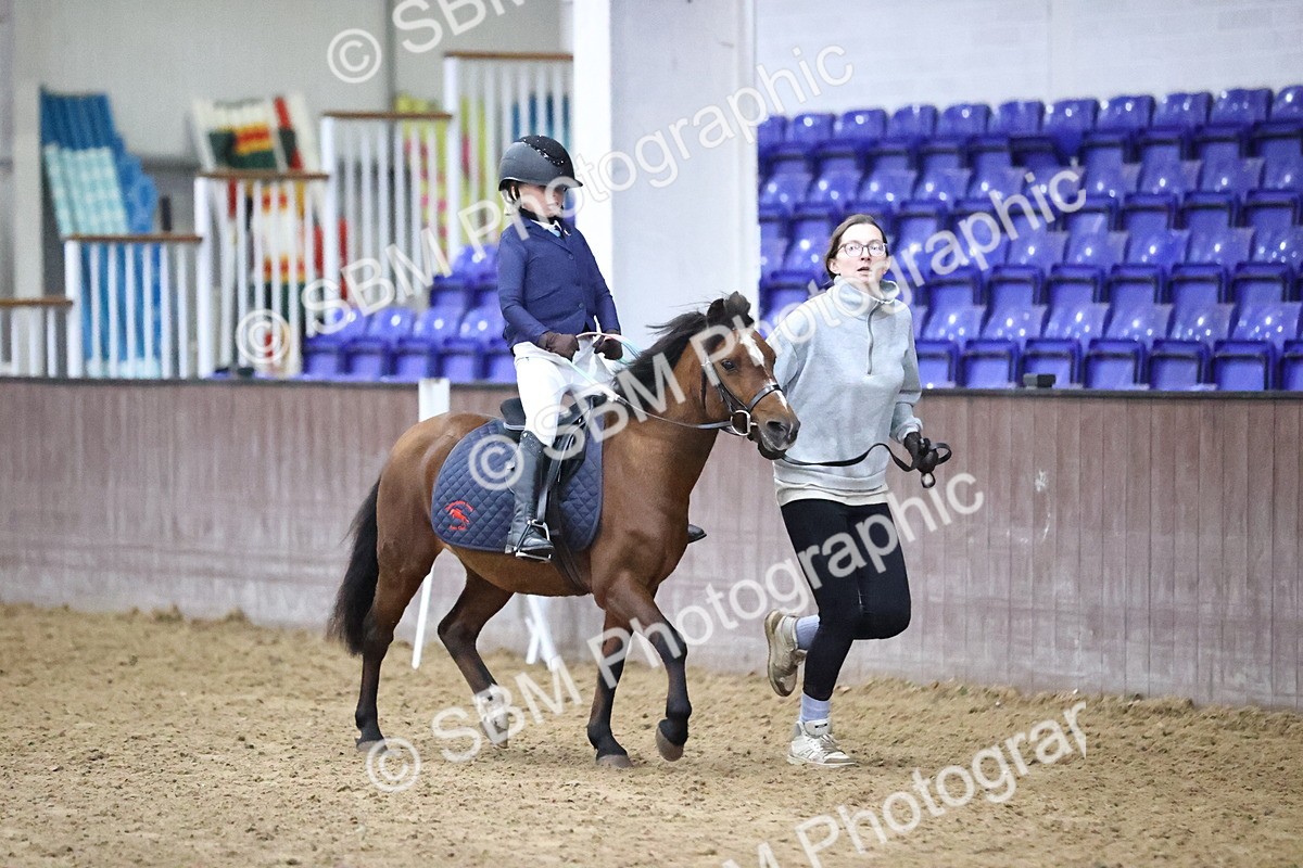 SBM_000080 - Class 1 - Fox Farriers 30cm