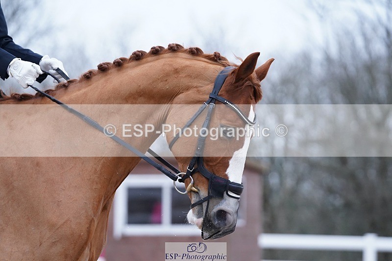 250214-101046-00095 - 182-Laima.Davies-Romero