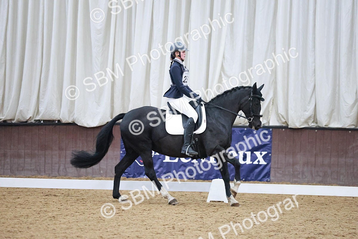 SBM_004623 - Ring 3 - International -  Working Hunter Classes 23-2-25