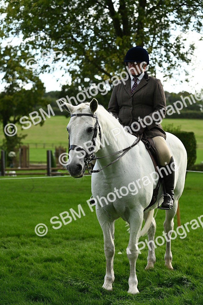 SBM_26384 - S6 - Novice & newcomer Ridden horse