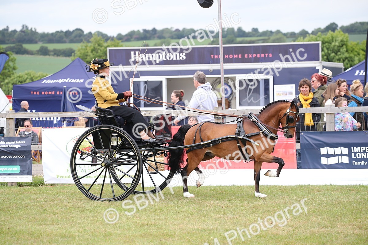 SBM_05910 - Class 12-15 - HOYS Private Driving