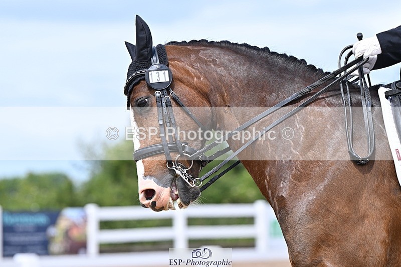 240622A-125137-10283 - Cls 30 BD Elementary 53