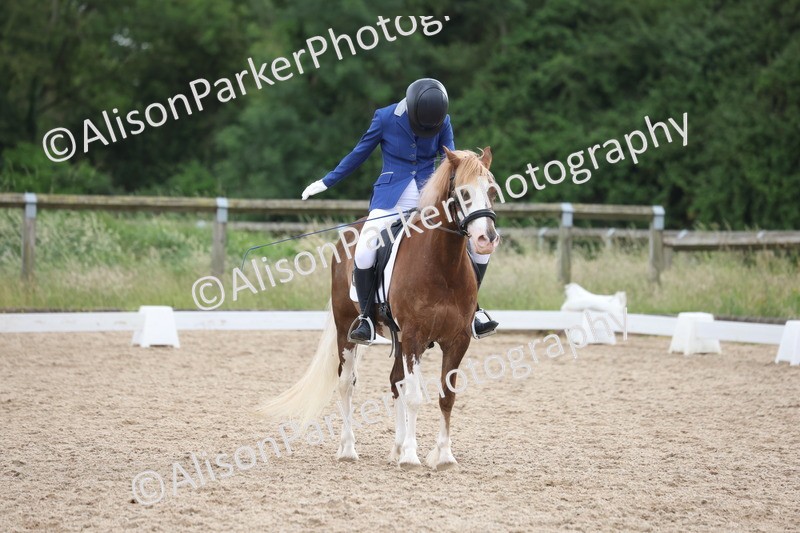 20250614-1494 - Class 7 - Elementary 2