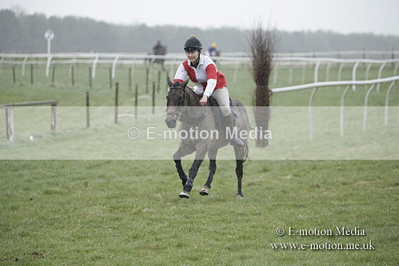 PtP 150320 0036 - New Forest Point-to-Point Larkhill 15/03/20