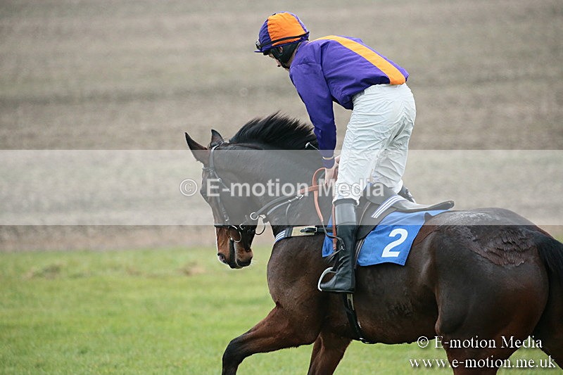 PtP 251118-198 - Vine & Craven Point-to Point Barbury Racecourse 25/11/18