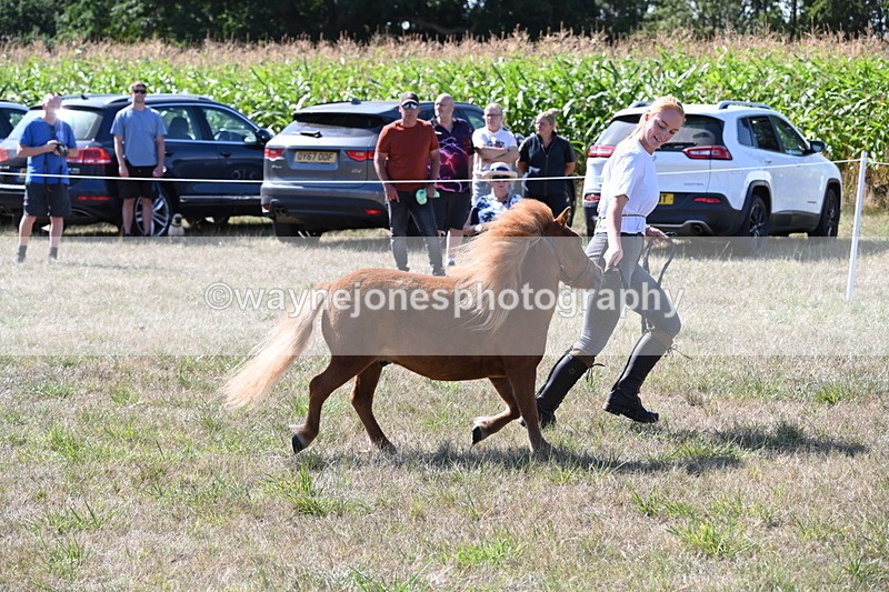 WJ6_4813 - Class 17 Mountain & Moorland