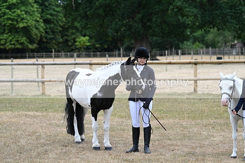 WJ7_8297 - Class 4 Prettiest Mare up to 14.2hh