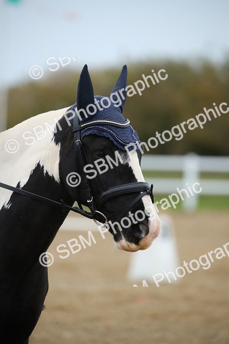 SBM_000379 - Intro 2