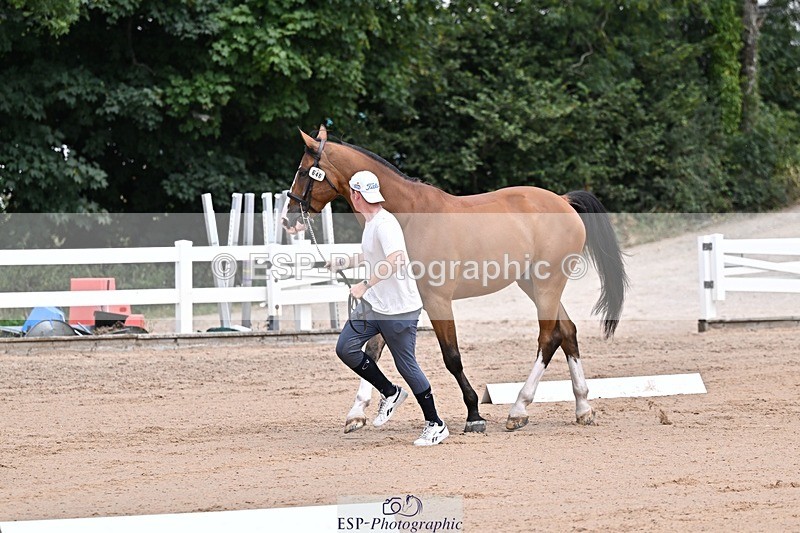 250716-130254-00288 - Trot Up 12.30 to 1.30