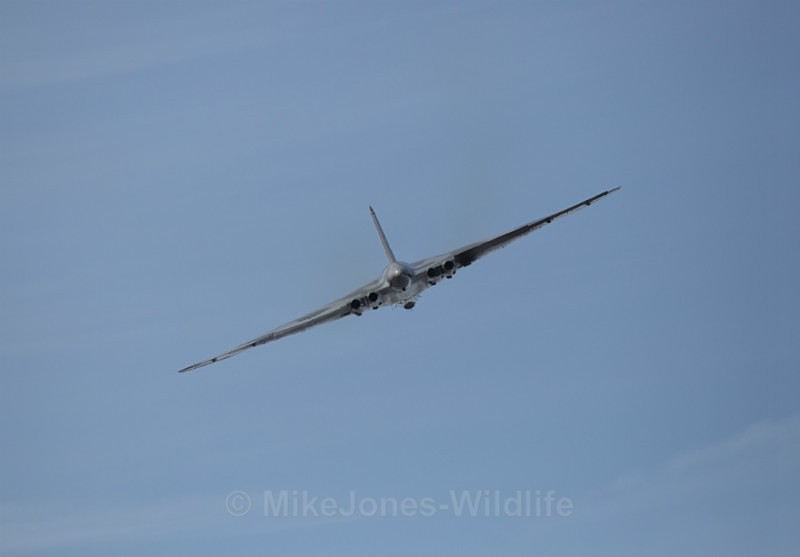 471A4865 - New Butterflies from Prees Heath (Silver Studded Blue )