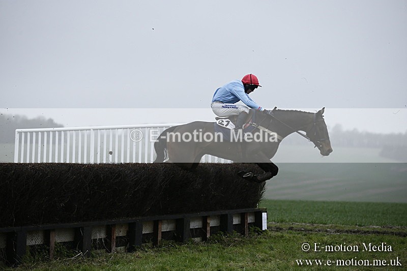 PtP 020418 -196 - Old Berks Point-to-Point Races Easter Monday 02/04/18
