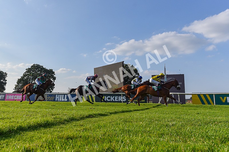 300824-Race 8-Captain Corelli-2-4 - Race 8