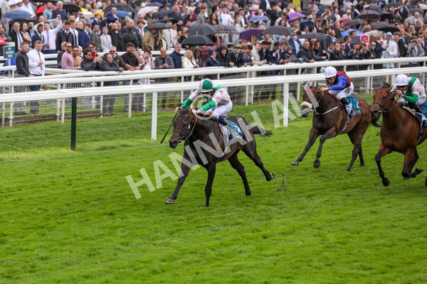 130724-Race 2-Starlust-1980 - Race 2 2.35pm John Smith's City Walls Stakes