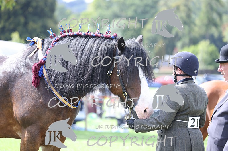 APP_3260 - Class 4 Veterans