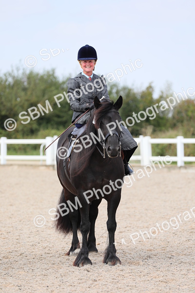 SBM_14588 - Class 211 Best Side Saddle Horse/Pony