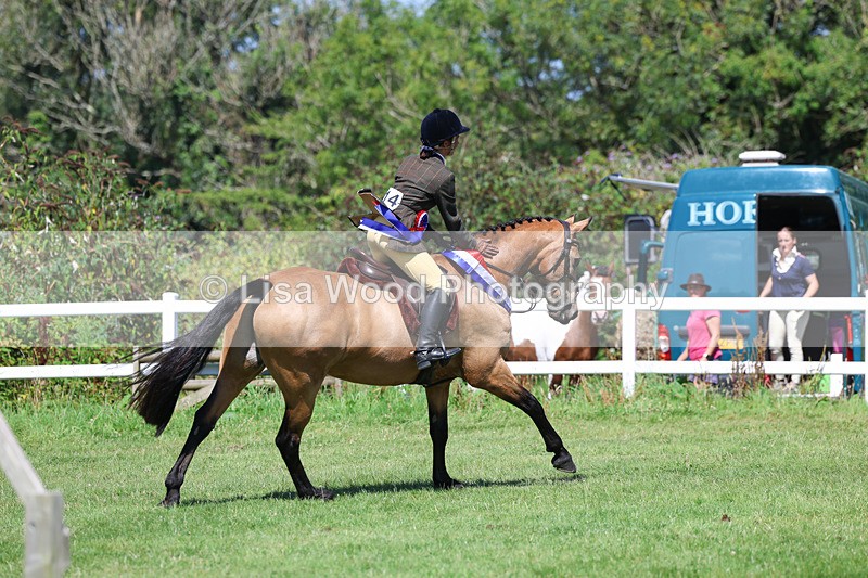 3E7A9356 - Working Hunter Championship