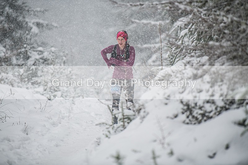 Glentress-2303 - High Terrain Events Glentress 42, 21 & 10K Trail Races Sunday 15th February 2026