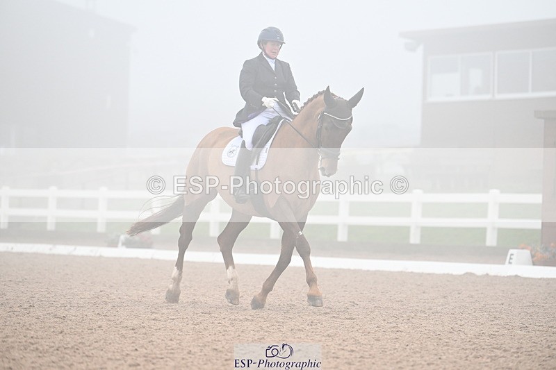 240217A-135301-03500 - 259-Claire.Speer-Joyful.Optimism