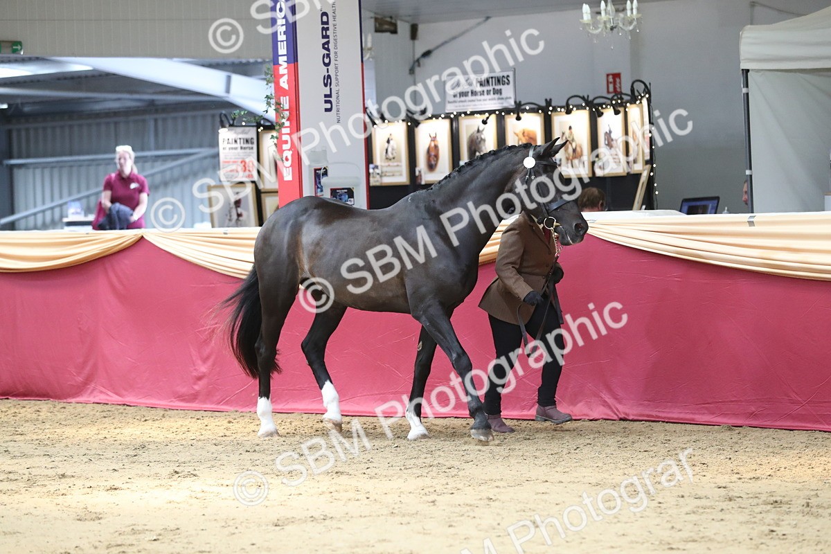 SBM_04511 - Class 7R Regional - IH Diamond