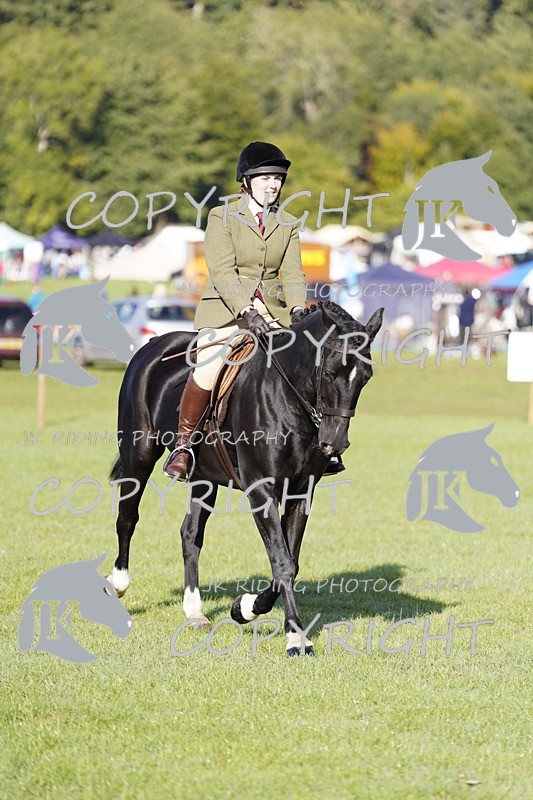 _DSC9445 - Class 8 & 17 Ridden Hunter & Ridden Hunter Pony