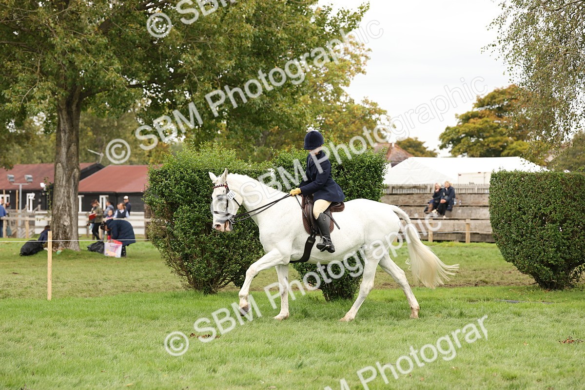SBM_64256 - S65 - Riding Horse & Hack & Thoroughbred Ridden